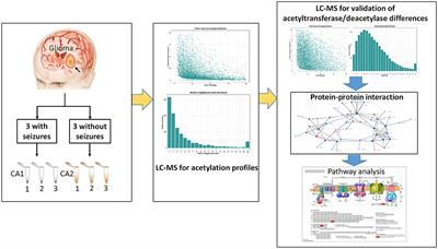 Acetylation Profiles in the Metabolic Process of Glioma-Associated Seizures